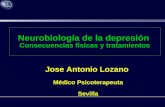 Neurobiología de la depresión Consecuencias físicas y tratamientos Jose Antonio Lozano Médico Psicoterapeuta Sevilla.