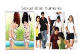 Sexualidad humana. Etapas del desarrollo humano Niñez Desde el nacimiento hasta los 10 años.