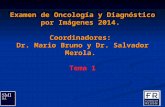 Examen de Oncología y Diagnóstico por Imágenes 2014. Coordinadores: Dr. Mario Bruno y Dr. Salvador Merola. Tema 1.