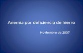 Anemia por deficiencia de hierro Noviembre de 2007.