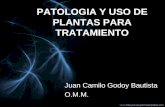 PATOLOGIA Y USO DE PLANTAS PARA TRATAMIENTO Juan Camilo Godoy Bautista O.M.M.