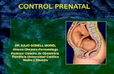 CONTROL PRENATAL DR JULIO GONELL MOREL Gíneco-Obstetra-Perinatólogo Profesor Cátedra de Obstetricia Pontificia Universidad Católica Madre y Maestra.