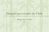 Parques nacionales de Chile Diego Echeverría 4ºc.