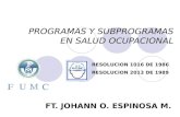 PROGRAMAS Y SUBPROGRAMAS EN SALUD OCUPACIONAL FT. JOHANN O. ESPINOSA M. RESOLUCION 1016 DE 1986 RESOLUCION 2013 DE 1989.