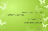 INDUSTRIA DE LAS FERMENTACIONES ALCOHOLICAS. INTRODUCCIÓN La fermentación alcohólica es un proceso anaeróbico realizado por las levaduras y algunas clases.