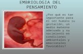 EMBRIOLOGIA DEL PENSAMIENTO ¿Por qué es tan importante para el ser humano su gestación, un medio materno adecuado y su nacimiento en condiciones ambientales.