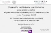 Evaluación cualitativa (y cuantitativa) en programas sociales Algunos elementos sobre la importancia de la Evaluación en los Programas del DIF XIV Encuentro.