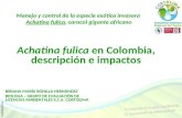 Manejo y control de la especie exótica invasora Achatina fulica, caracol gigante africano Achatina fulica en Colombia, descripción e impactos BIBIANA MARÍA.