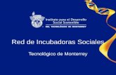 Red de Incubadoras Sociales Tecnológico de Monterrey.