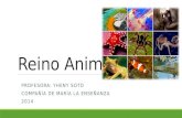 Reino Animal PROFESORA: YHENY SOTO COMPAÑÍA DE MARÍA LA ENSEÑANZA 2014.