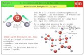 Biología y Geología 1.º Bachillerato 1. La naturaleza básica de la vida Biomoléculas inorgánicas: el agua Debido a la elevada electronegatividad del oxígeno,