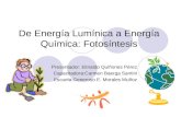 De Energía Lumínica a Energía Química: Fotosíntesis Presentador: Elinaldo Quiñones Pérez Capacitadora:Carmen Baerga Santini Escuela:Generoso E. Morales.