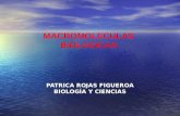 MACROMOLECULAS BIOLOGICAS PATRICA ROJAS FIGUEROA BIOLOGÍA Y CIENCIAS.