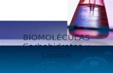 BIOMOLÉCULAS Carbohidratos y Lípidos. Contenido Objetivos de la clase  Identificar las características estructurales y funcionales de las biomoléculas.