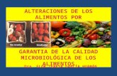 ALTERACIONES DE LOS ALIMENTOS POR MICROORGANISMOS Dra. FLOR TERESA GARCÍA HUAMÁN2.
