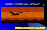 Unidad “Materia y energía en ecosistemas” Profesor: Carlos Iglesias A. “ESTUDIO Y COMPRENSIÓN DE LA NATURALEZA”