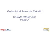 Guías Modulares de Estudio Cálculo diferencial Parte A.