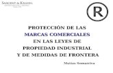 PROTECCIÓN DE LAS MARCAS COMERCIALES EN LAS LEYES DE PROPIEDAD INDUSTRIAL Y DE MEDIDAS DE FRONTERA Matías Somarriva.