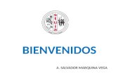 BIENVENIDOS A. SALVADOR MARQUINA VEGA. Aspectos esenciales de Ley 73.