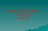 LOS ECOSISTEMAS DE AGUA DULCE. 1.AGUAS DULCES REMANSADAS CHARCAS CHARCAS · Son zonas de carácter temporal. · Se forman en cuencas de suelo sin drenaje.