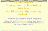 FITOTERAPIA Conceptos - Botánica Básica de Plantas de uso en Salud Profesor: Mg. Angel, W. Vargas Mosqueira Docente Universitario. Autor del libro: “Plantas.
