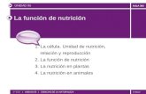 © GELV AULA 360 La función de nutrición 1. La célula. Unidad de nutrición, relación y reproducción 2. La función de nutrición 3. La nutrición en plantas.