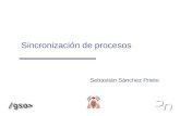 Sincronización de procesos Sebastián Sánchez Prieto.