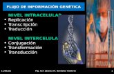 FLUJO DE INFORMACIÓN GENÉTICA 4/1/2015Mg. Q.F. Jéssica N. Bardales Valdivia1 NIVEL INTRACELULAR Replicación Transcripción Traducción NIVEL INTERCELULAR.