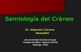 Semiología del Cráneo Dr. Alejandro Cáceres Bassaletti Bassaletti Jefe de Unidad de Neurocirugía Hospital de Niños Roberto del Río Santiago, Chile.