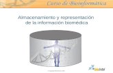 © Copyright Ebiointel,SL 2006 Almacenamiento y representación de la información biomédica.
