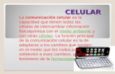 CELULAR La comunicación celular es la capacidad que tienen todas las células de intercambiar información fisicoquímica con el medio ambiente y con otras.