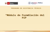 “Módulo de Formulación del PIP” PROGRAMA DE ASISTENCIA TÉCNICA.