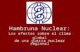 Hambruna Nuclear: Los efectos sobre el clima global de una guerra nuclear regional Asociación Internacional de Médicos para la Prevención de la Guerra.