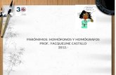 PARÓNIMOS: HOMÓFONOS Y HOMÓGRAFOS PROF. YACQUELINE CASTILLO 2012.-