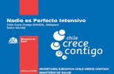 Nadie es Perfecto Intensivo Chile Crece Contigo (MINSAL, Mideplan) Banco Mundial SECRETARÍA EJECUTIVA CHILE CRECE CONTIGO MINISTERIO DE SALUD.
