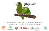 Campaña contra del comercio y tenencia de cotorras en República Dominicana CROWDER-MESSERSMITH FUND/ AUDUBON NATURALIST SOCIETY.