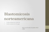 Blastomicosis norteamericana Enfermedad de Gilchrist Enfermedad de Chicago Prof. Luis Ernesto González 2013 UNSL.