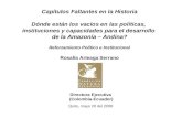 Capítulos Faltantes en la Historia Dónde están los vacíos en las políticas, instituciones y capacidades para el desarrollo de la Amazonía – Andina? Reforzamiento.