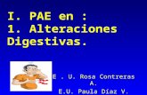 I. PAE en : 1. Alteraciones Digestivas. E. U. Rosa Contreras A. E.U. Paula Díaz V.