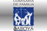 HONORABLE CONCEJO MUNICIPAL DE SABOYÁ INFORME DE GESTION 2008 - 2009.