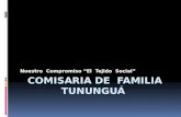 Nuestro Compromiso “El Tejido Social”. Antecedentes La Comisaria de Familia del municipio de Tununguá, fue creada mediante acuerdo No. 010 de fecha.