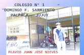 FLAVIO JUAN JOSÉ NIEVES COLEGIO N° 1 “DOMINGO F. SARMIENTO” PALPALA - JUJUY.