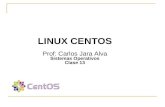 LINUX CENTOS Prof: Carlos Jara Alva Sistemas Operativos Clase 2 LINUX CENTOS Prof: Carlos Jara Alva Sistemas Operativos Clase 13.
