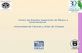 Centro de Estudios Superiores de México y Centroamérica Universidad de Ciencias y Artes de Chiapa s.