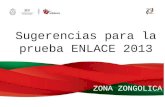 Sugerencias para la prueba ENLACE 2013 ZONA ZONGOLICA.