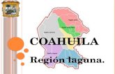 C OAHUILA Región laguna. R EGIÓN LAGUNA A la región laguna se le conoce también como comarca lagunera que esta integrada por 10 municipios del estado.