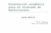 Orientación académica para el alumnado de Bachillerato Curso 2013/14 IES Mª Zambrano Dpto. de Orientación.