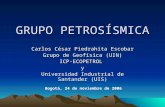 GRUPO PETROSÍSMICA Carlos César Piedrahita Escobar Grupo de Geofísica (UIN) ICP-ECOPETROLy Universidad Industrial de Santander (UIS) Bogotá, 24 de noviembre.