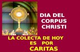 LA COLECTA DE HOY ES POR CARITAS DIA DEL CORPUS CHRISTI.