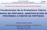 Fundamentos de la Proteómica Clásica MAPAS DE PÉPTIDOS. IDENTIFICACIÓN DE PROTEÍNAS A PARTIR DE PÉPTIDOS Alberto Jorge García Laboratorio de Qu í mica.